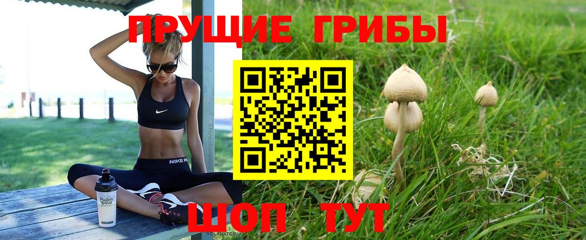 Псилоцибиновые грибы MAGIC MUSHROOMS  Вход с VPN  Таганрог  Псилоцибиновые грибы Psilocybine cubensis 